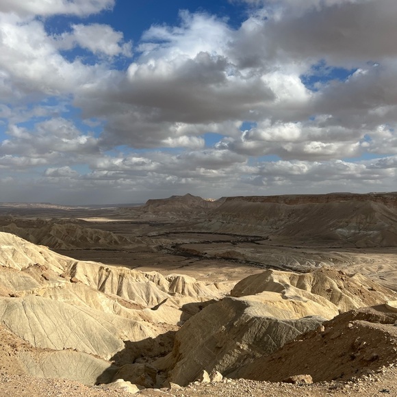 Love Shack Fancy Braided Halter Maxi - Picture 5 of 7